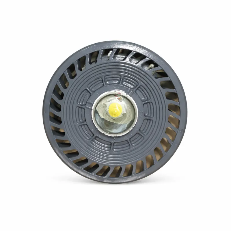 FLP COB Flood Lights